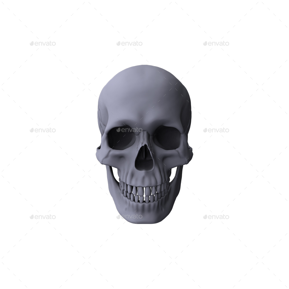 Skull PNG Set by 3background | GraphicRiver